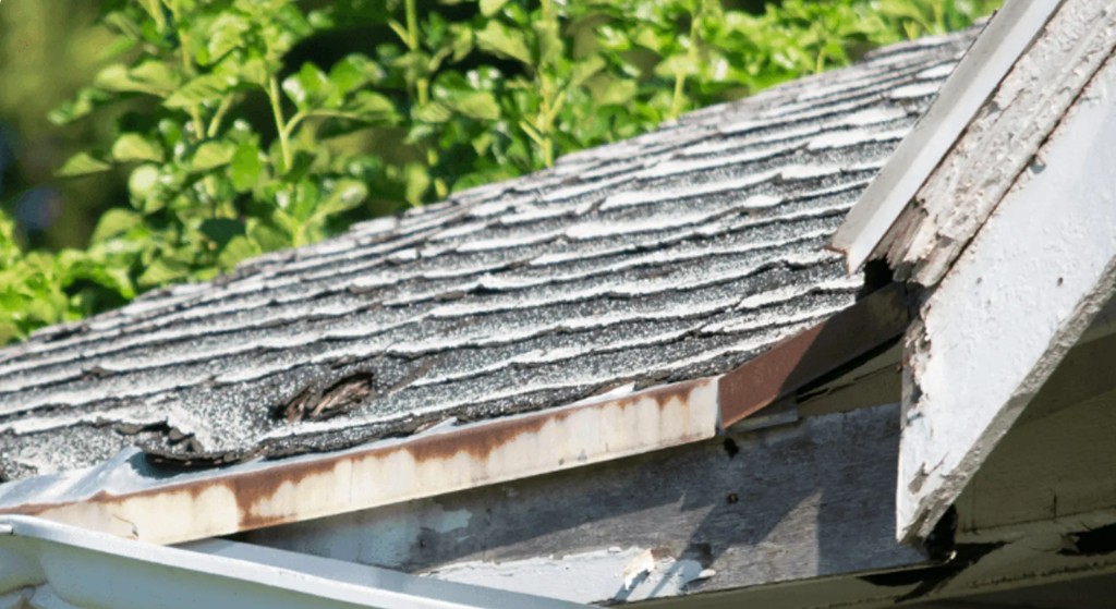 Weathered shingles, rusted drip edge, and rotting fascia where the roof meets the gutter