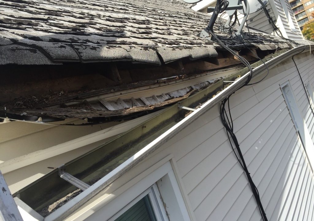 Damaged fascia and detached gutter from water intrusion and neglect